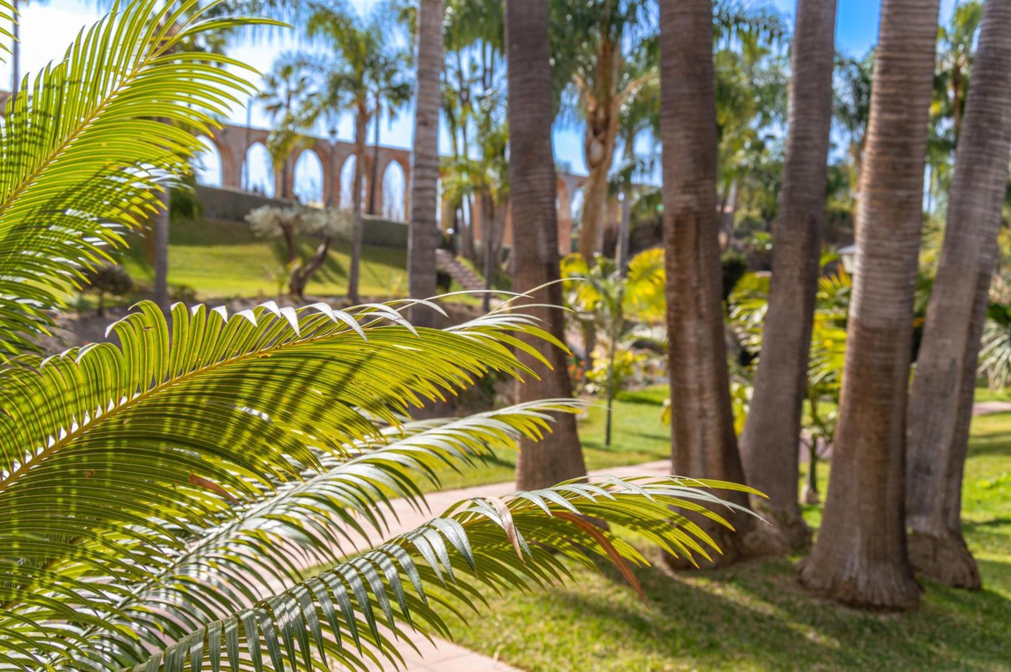 Tetuan 11 Oasis Apartment