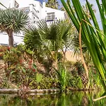 Tetuan 11 Oasis Properties